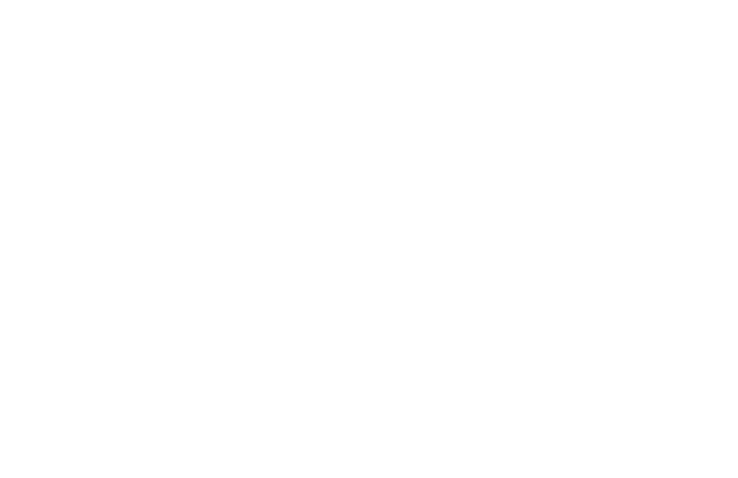consultores-b.png